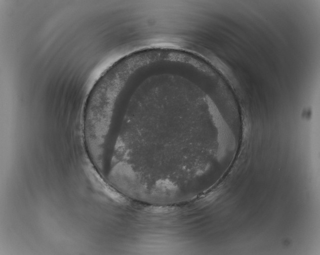 X0000111441240200907271122