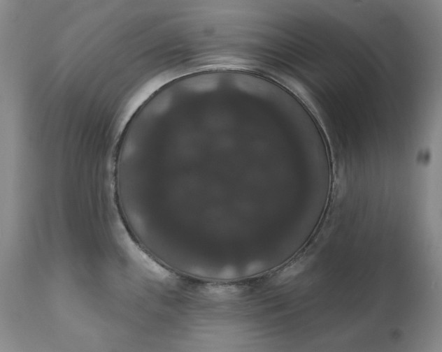 X0000111441243200907271122