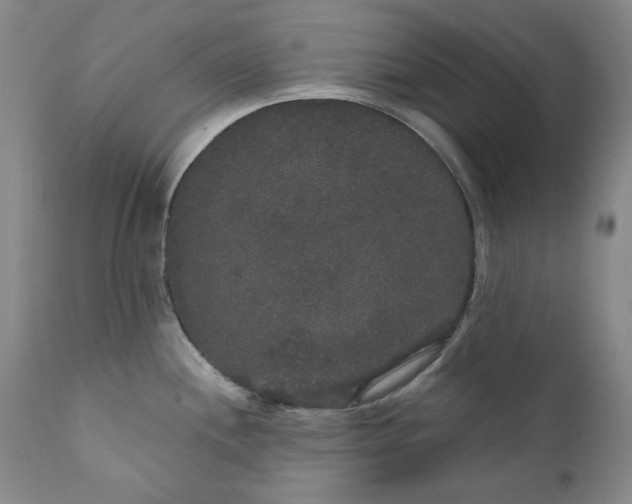 X0000111441244200907271122