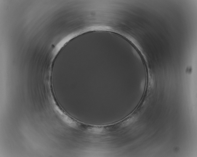 X0000111441245200907271122