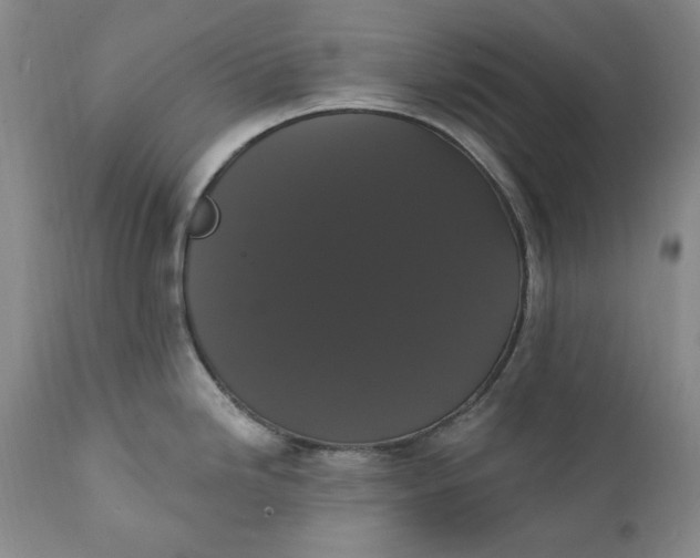 X0000111441246200907271122