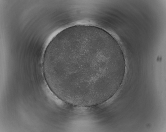 X0000111441248200907271122