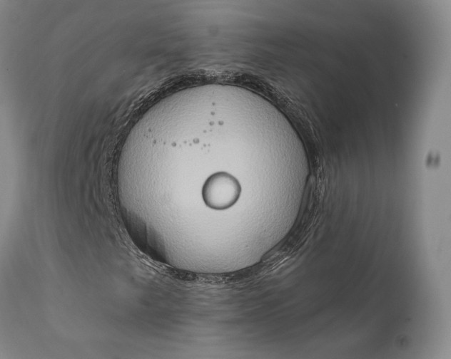 X0000111441249200907271121