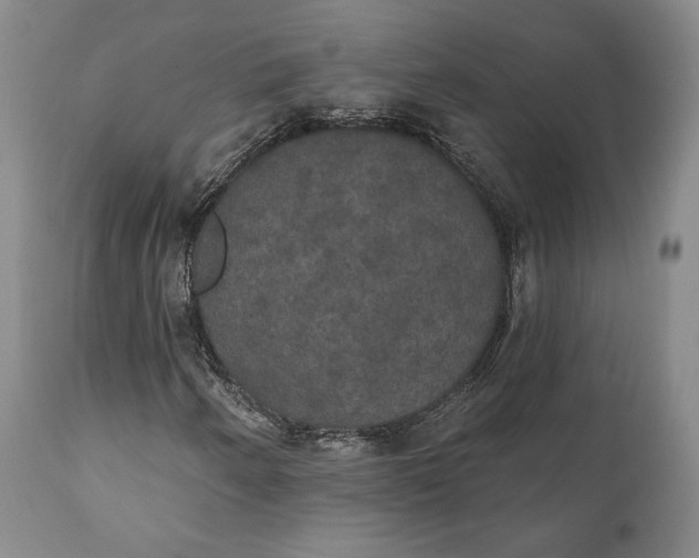 X0000111441250200907271121