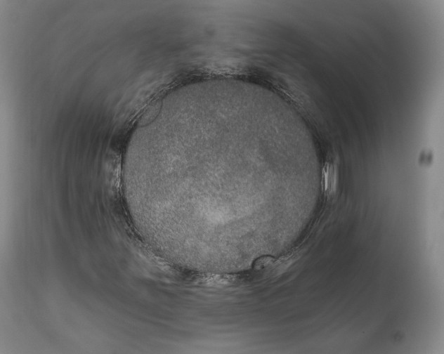 X0000111441251200907271121