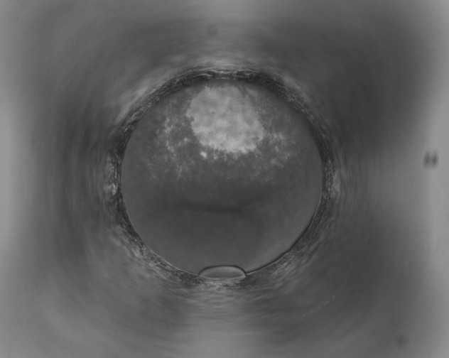 X0000111441253200907271121