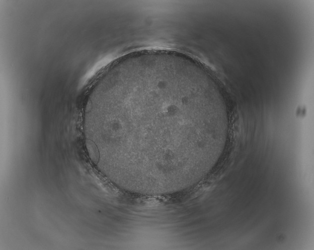 X0000111441255200907271121