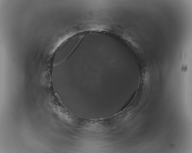 X0000111441256200907271121