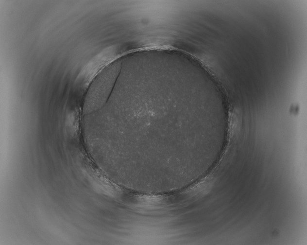 X0000111441257200907271121