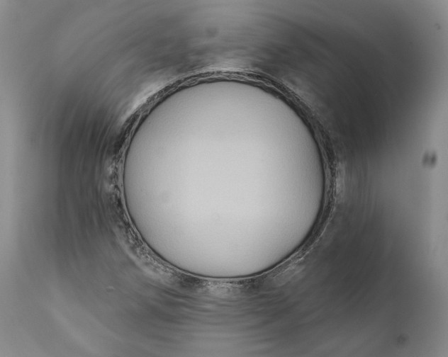 X0000111441258200907271121