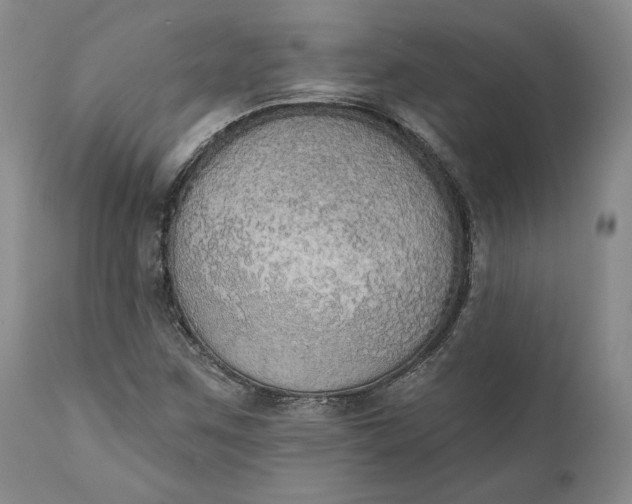 X0000111441259200907271121