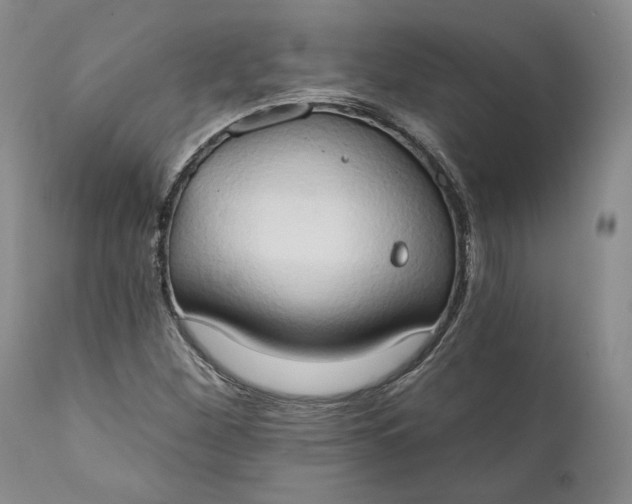 X0000111441260200907271121