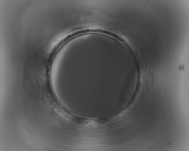 X0000111441263200907271121