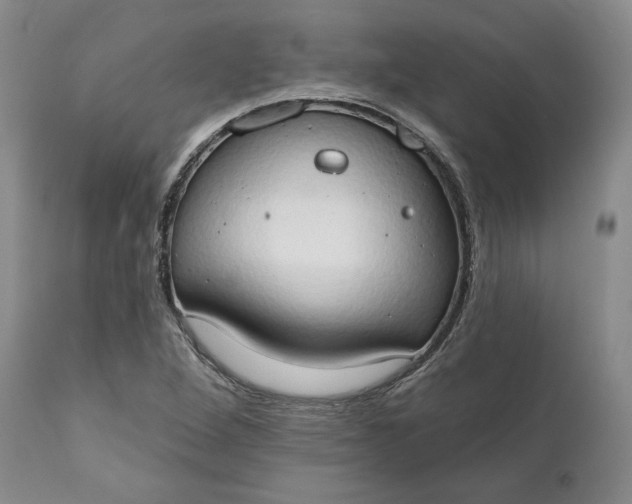 X0000111441264200907271121