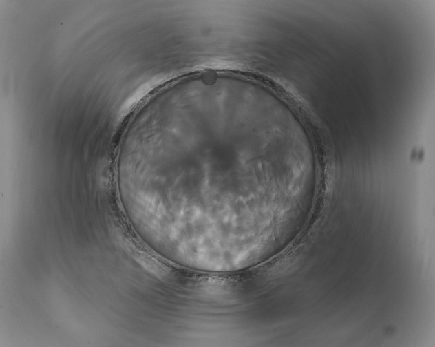 X0000111441266200907271121