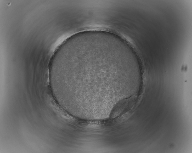 X0000111441267200907271121