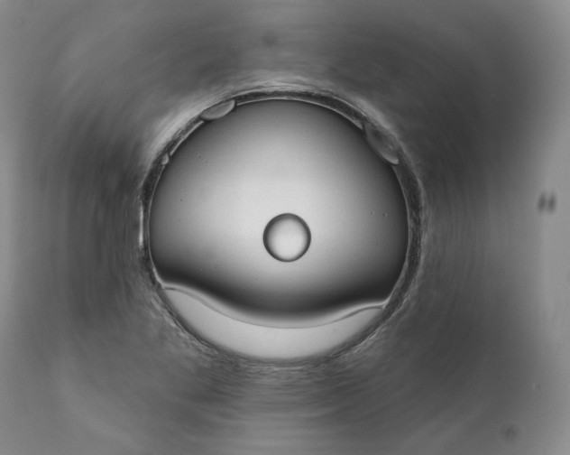 X0000111441269200907271121