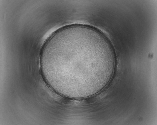 X0000111441271200907271121