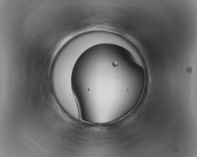 X0000111441272200907271121