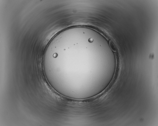 X0000111441273200907271121