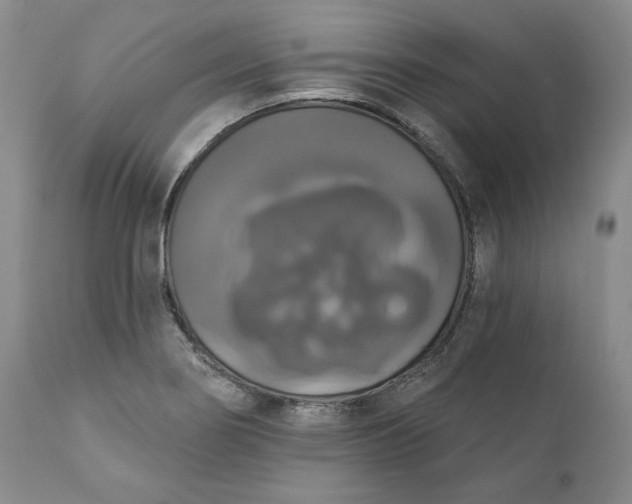 X0000111441274200907271121