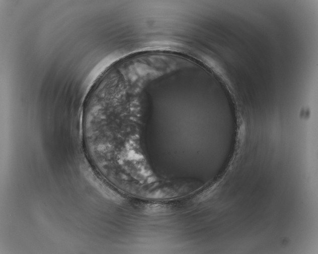 X0000111441275200907271121