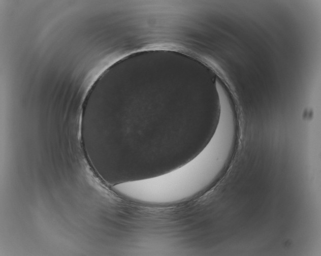 X0000111441276200907271121