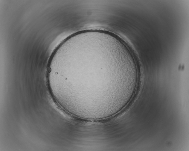 X0000111441277200907271121