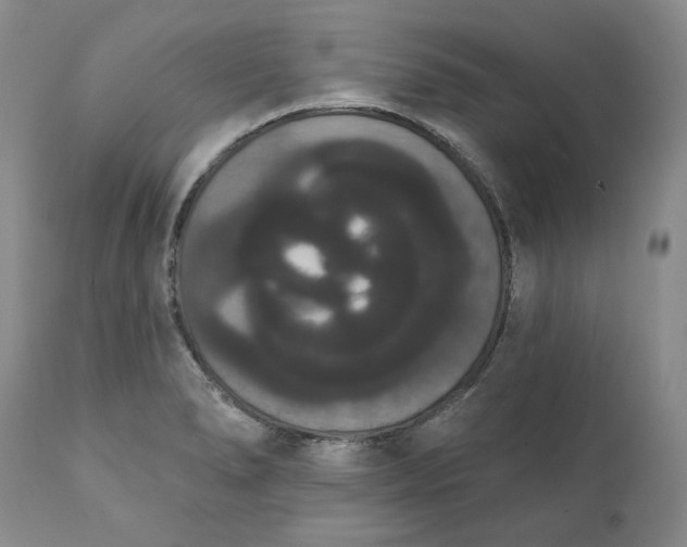 X0000111441278200907271121