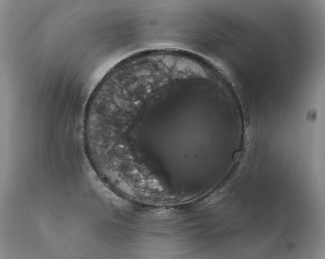 X0000111441279200907271121