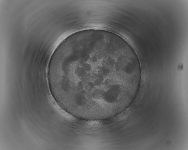 X0000111441283200907271121