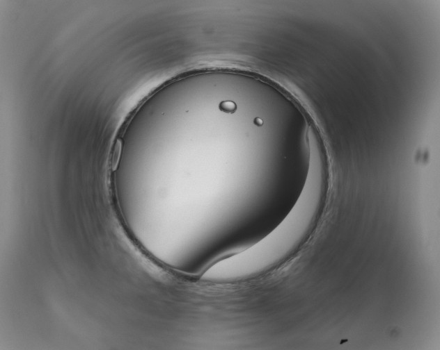 X0000111441285200907271121