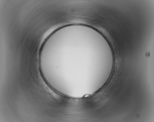 X0000111441286200907271121