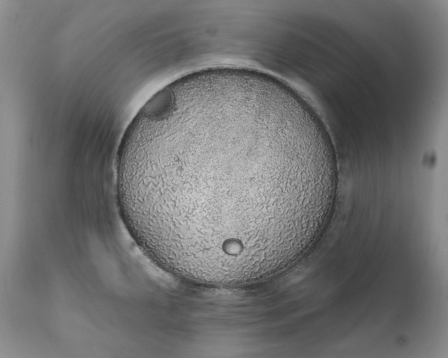 X0000111441287200907271121