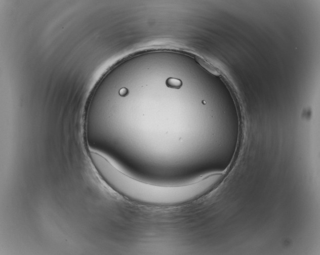 X0000111441288200907271121