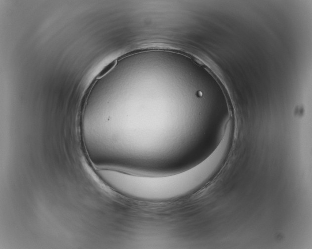 X0000111441293200907271121