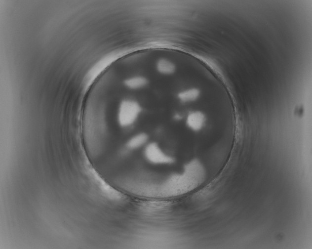 X0000111441294200907271121