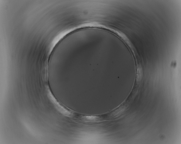 X0000111441295200907271120