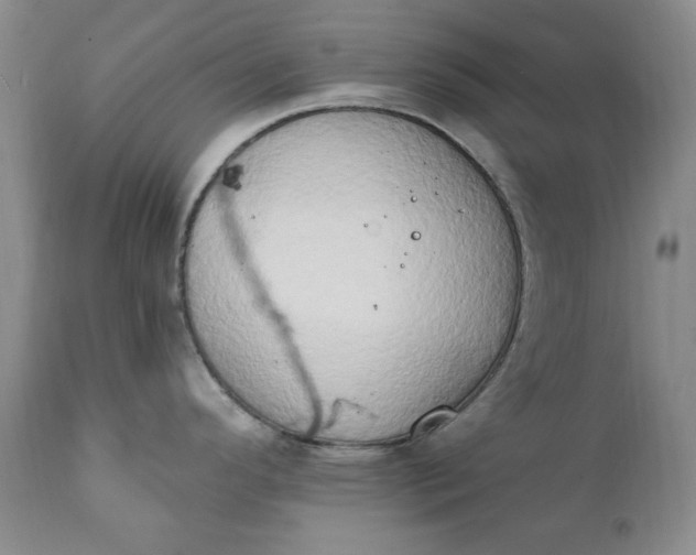 X0000111441296200907271120