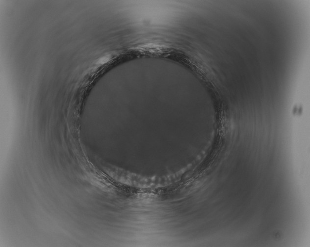 X0000111441297200907271120