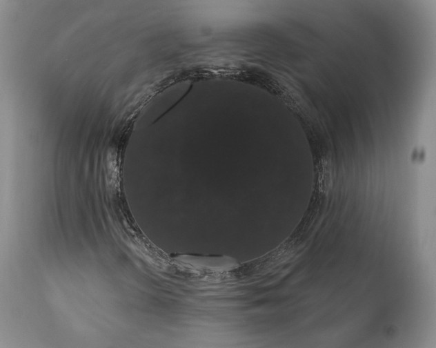 X0000111441298200907271120