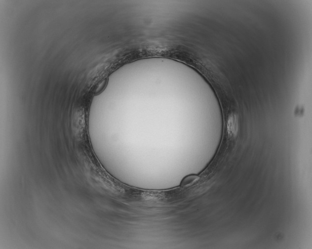 X0000111441299200907271120