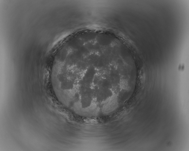 X0000111441302200907271120