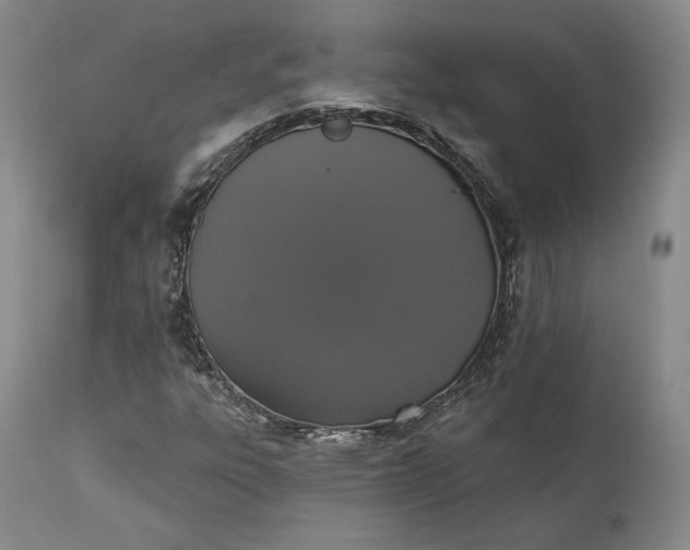 X0000111441303200907271120