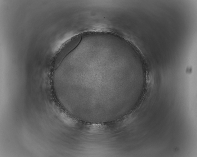 X0000111441304200907271120