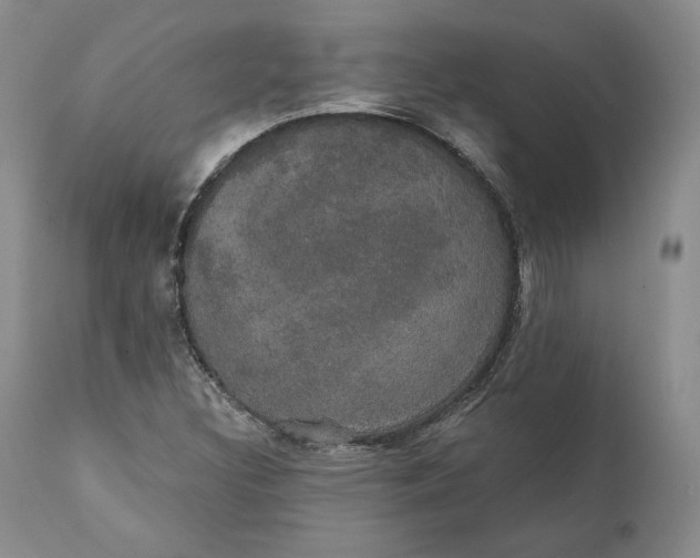 X0000111441308200907271120