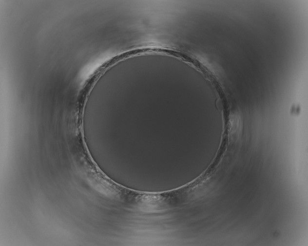 X0000111441310200907271120