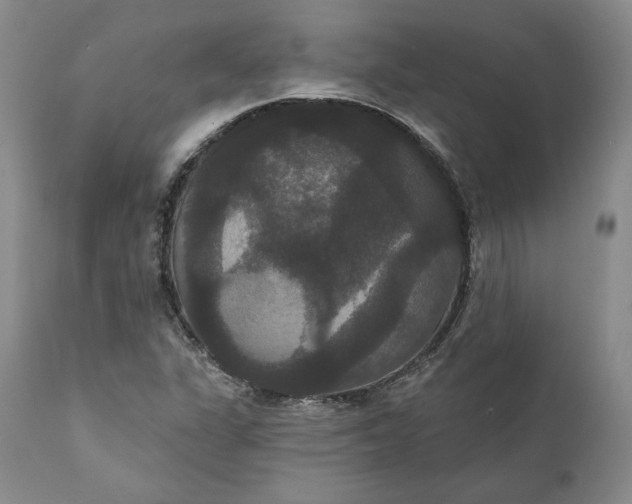 X0000111441311200907271120