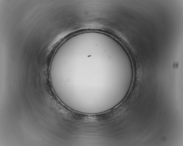 X0000111441315200907271120