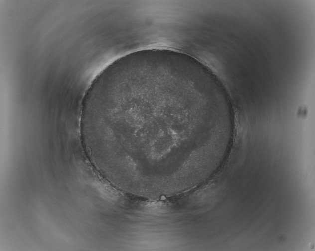 X0000111441316200907271120